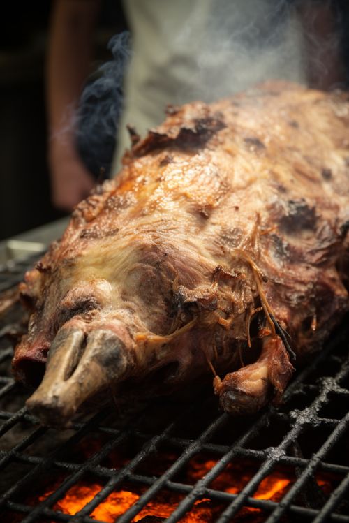 美味盛宴 摄影镜头下的烤全羊
