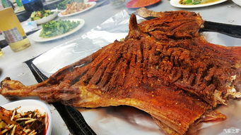 贵州车友欢聚盛宴 品尝烤全羊共话空滤改装